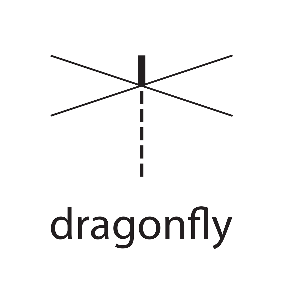 Dragonfly Architecture