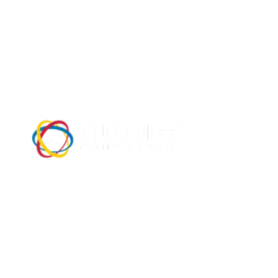 Auto Fleet